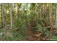 Lot 1 / 163 Curtis Road, Tamborine Mountain QLD 4272