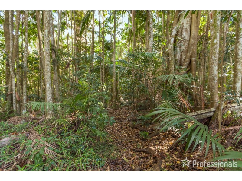 Lot 1 / 163 Curtis Road, Tamborine Mountain QLD 4272