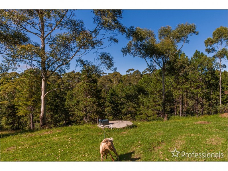 73-87 Guanaba Road, Tamborine Mountain QLD 4272