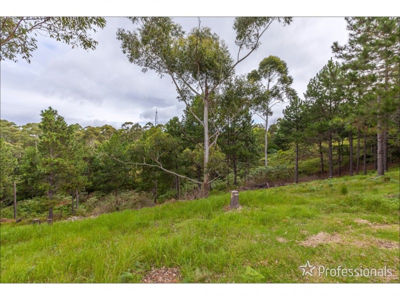 73-87 Guanaba Road, Tamborine Mountain QLD 4272