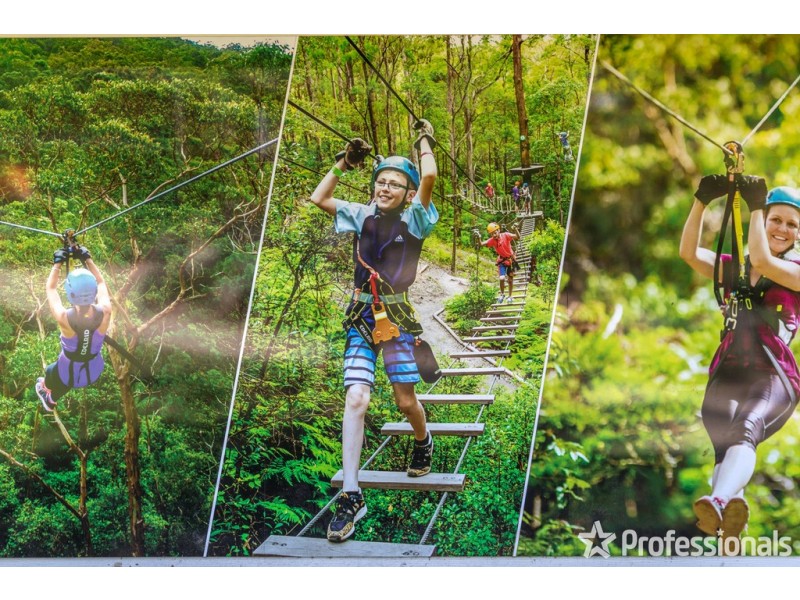 Unit 8 Tamborine Mountain Road, Cedar Creek Lodges, Tamborine Mountain QLD 4272