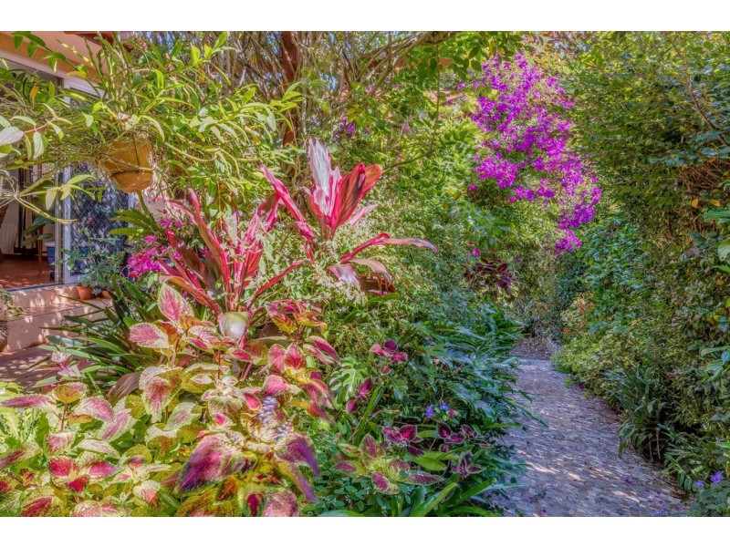 32 Ben Nevis Street, Tamborine Mountain QLD 4272