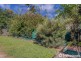 24 Griffith Street, Tamborine Mountain QLD 4272