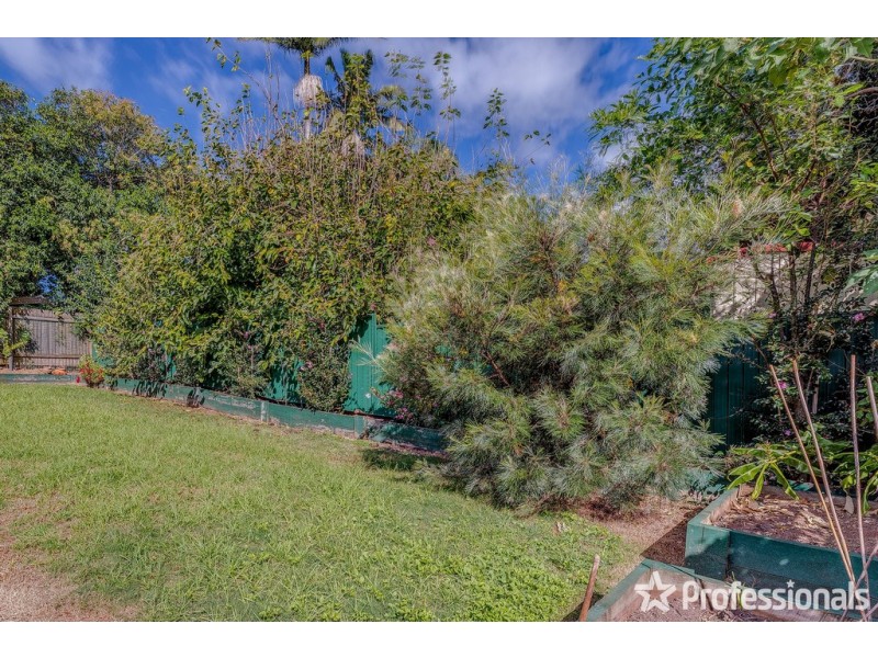 24 Griffith Street, Tamborine Mountain QLD 4272