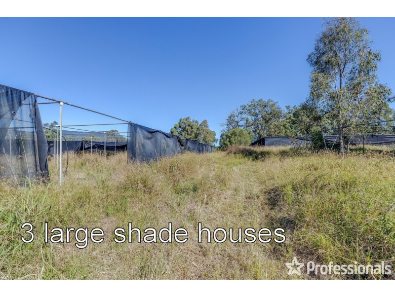 2141 Beaudesert-Beenleigh Road, Tamborine QLD 4270
