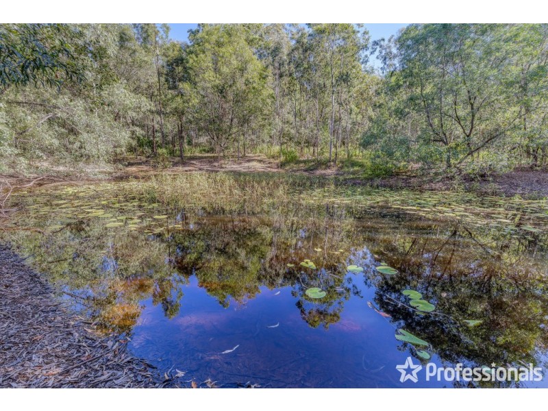 2141 Beaudesert-Beenleigh Road, Tamborine QLD 4270