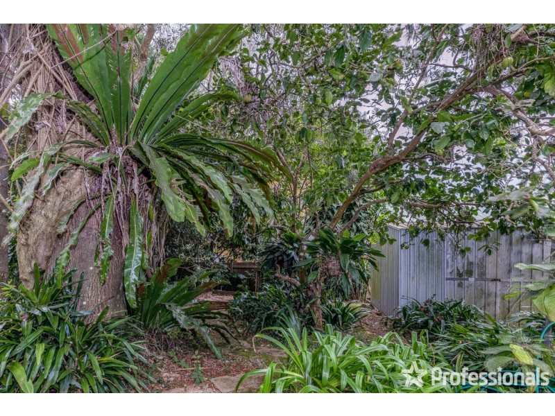 18 Beechmont Avenue, Tamborine Mountain QLD 4272