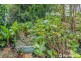 18 Beechmont Avenue, Tamborine Mountain QLD 4272