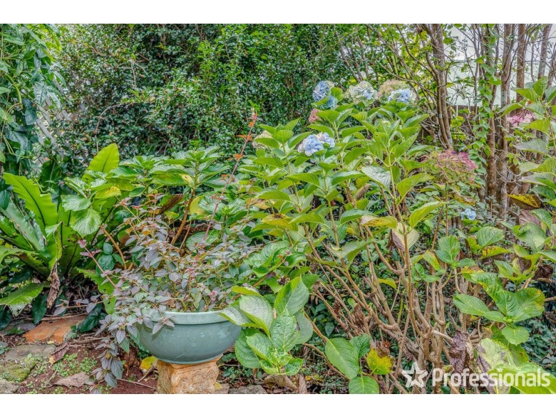 18 Beechmont Avenue, Tamborine Mountain QLD 4272