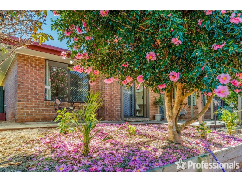 1-3 Licuala Drive, Tamborine Mountain QLD 4272