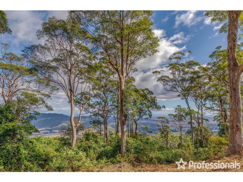 553-569 Main Western Road, Tamborine Mountain QLD 4272