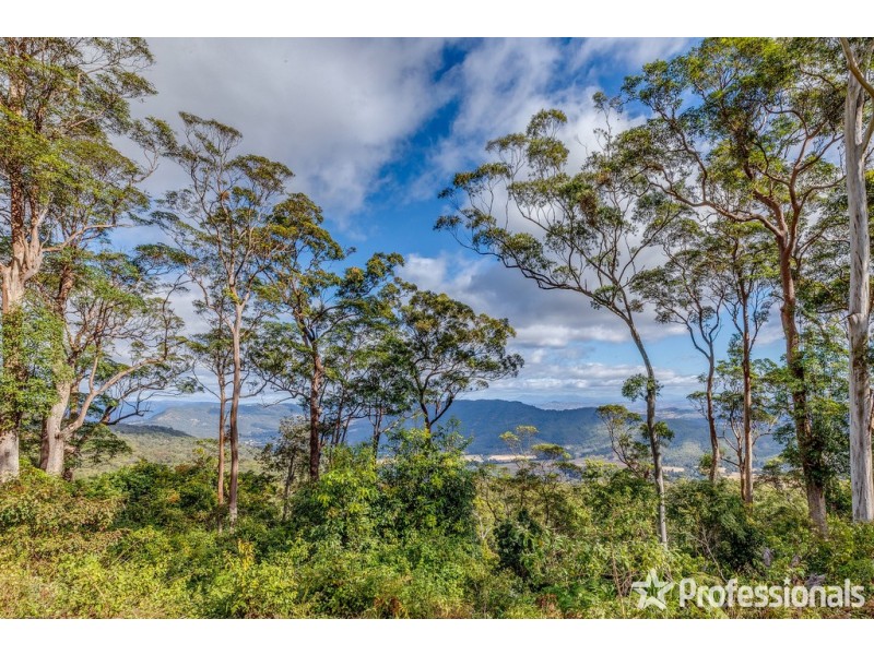 553-569 Main Western Road, Tamborine Mountain QLD 4272