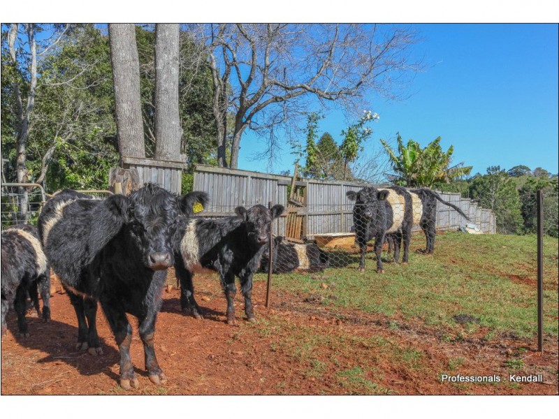 333 Long Road, North Tamborine QLD 4272