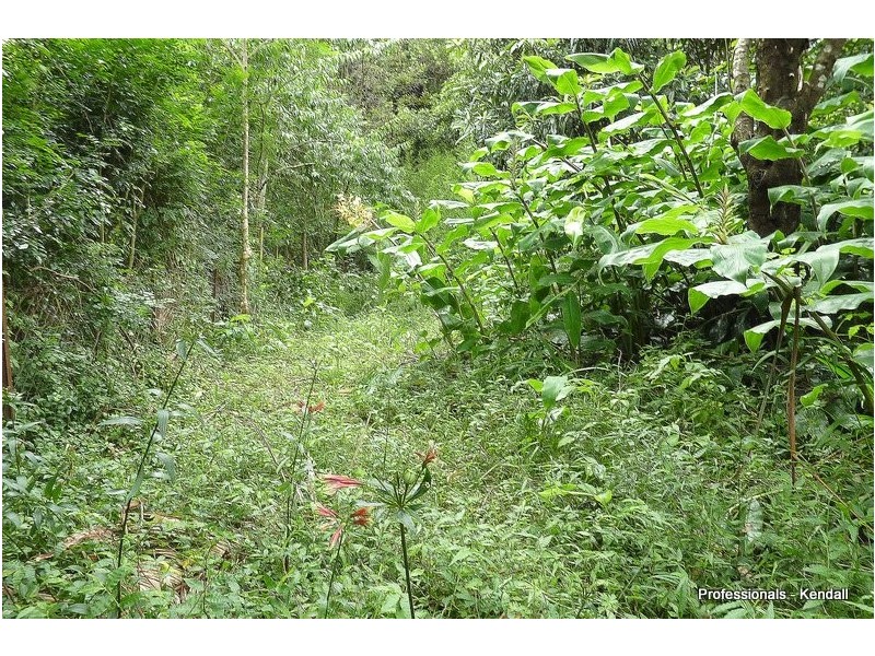 8 North Street, Tamborine Mountain QLD 4272