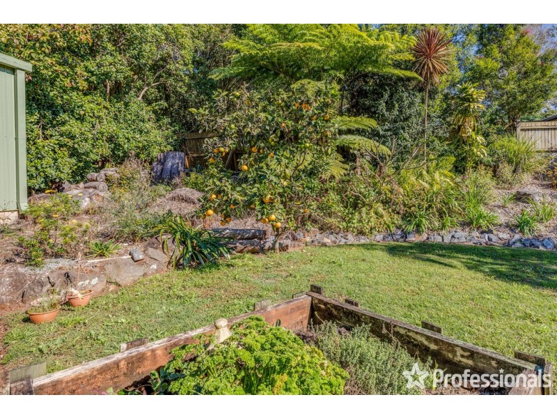 7 Mayon Court, Tamborine Mountain QLD 4272