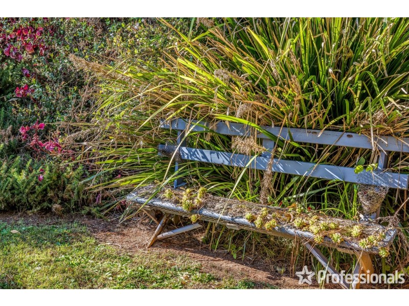 7 Mayon Court, Tamborine Mountain QLD 4272