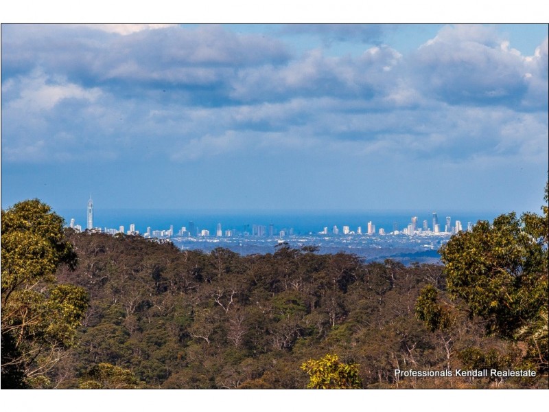 10 Saguaro Court, Tamborine Mountain QLD 4272