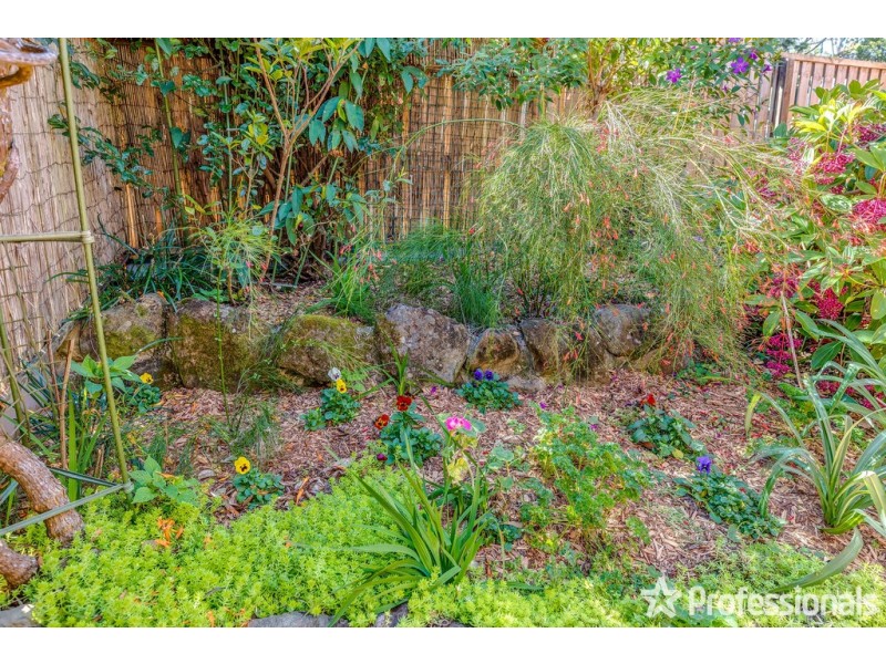 41/ 27-29 Capo Lane, Tamborine Mountain QLD 4272