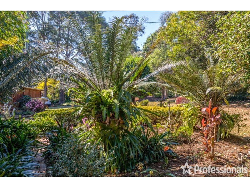 489 Main Western Road, Tamborine Mountain QLD 4272