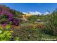 55-57 Sierra Drive, Tamborine Mountain QLD 4272