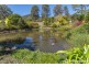 9-15 Murray Grey Drive, Tamborine QLD 4270