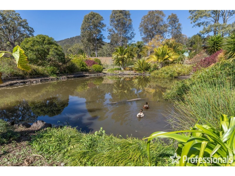 9-15 Murray Grey Drive, Tamborine QLD 4270