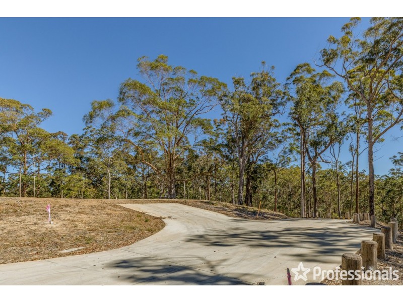 Lot 12/106-110 Wongawallan Road, Tamborine Mountain QLD 4272