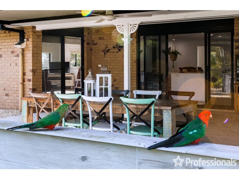 38-46 Bluegum Drive, Wonglepong QLD 4275