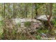 165 Wongawallan Drive, Wongawallan QLD 4210
