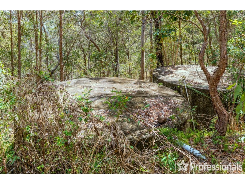 165 Wongawallan Drive, Wongawallan QLD 4210