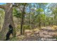 165 Wongawallan Drive, Wongawallan QLD 4210