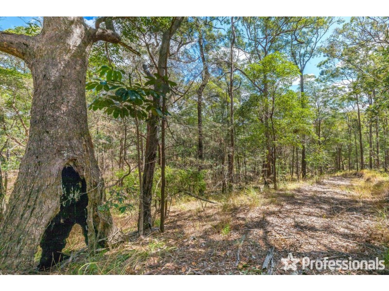 165 Wongawallan Drive, Wongawallan QLD 4210