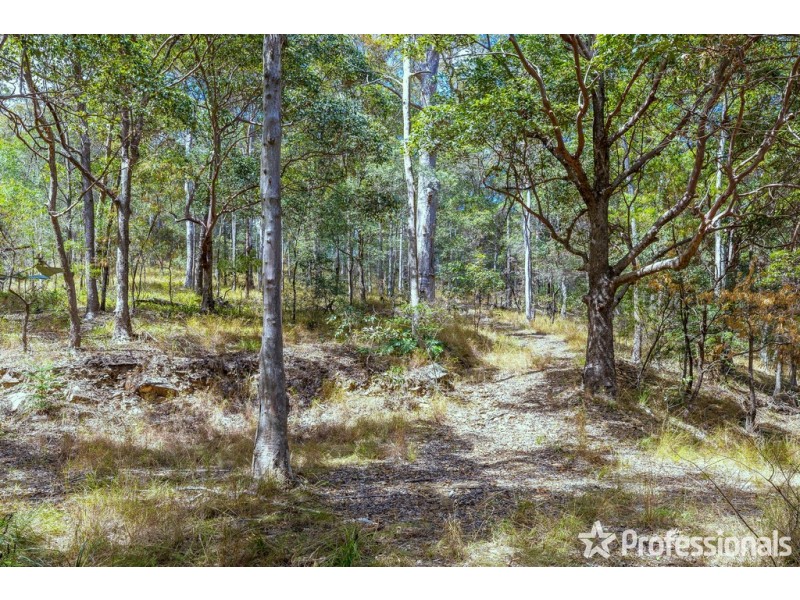 165 Wongawallan Drive, Wongawallan QLD 4210