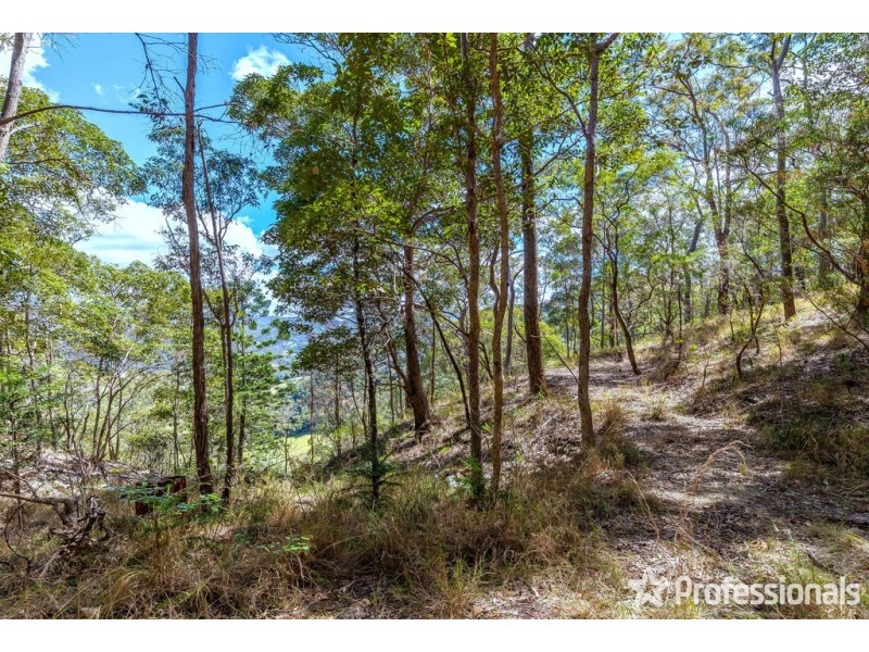 165 Wongawallan Drive, Wongawallan QLD 4210