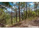 165 Wongawallan Drive, Wongawallan QLD 4210