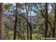 165 Wongawallan Drive, Wongawallan QLD 4210