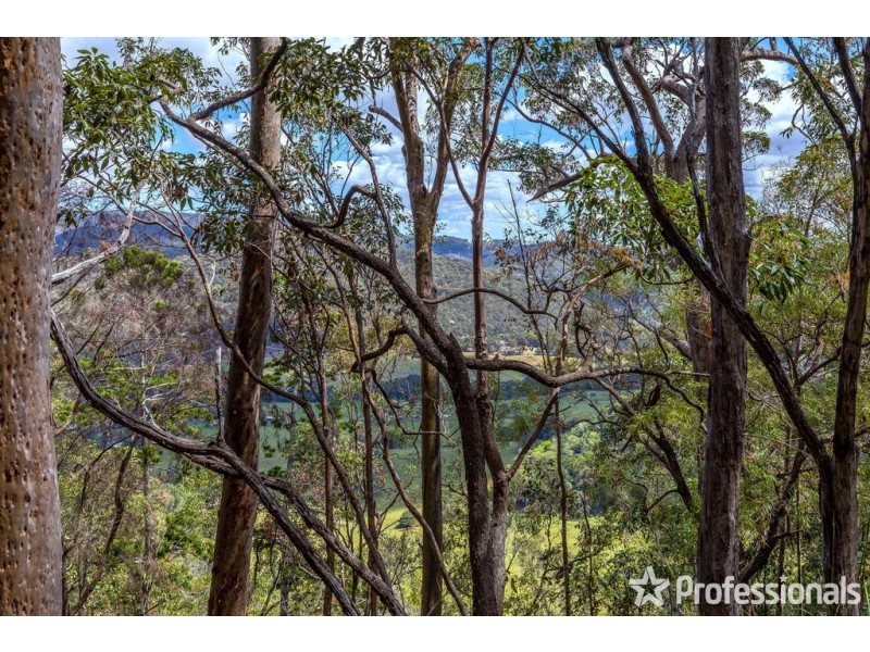 165 Wongawallan Drive, Wongawallan QLD 4210