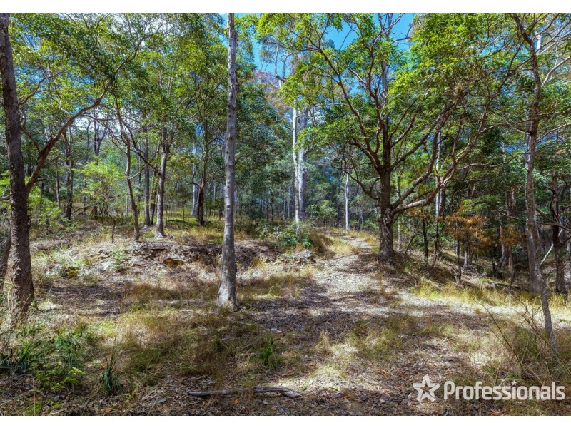 165 Wongawallan Drive, Wongawallan QLD 4210