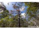 165 Wongawallan Drive, Wongawallan QLD 4210