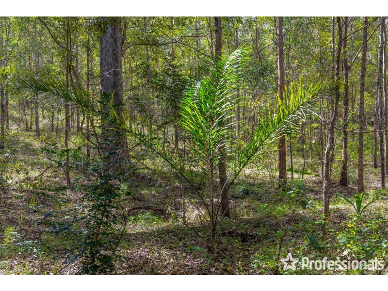 88-104 Vonda Youngman Drive, Tamborine QLD 4270