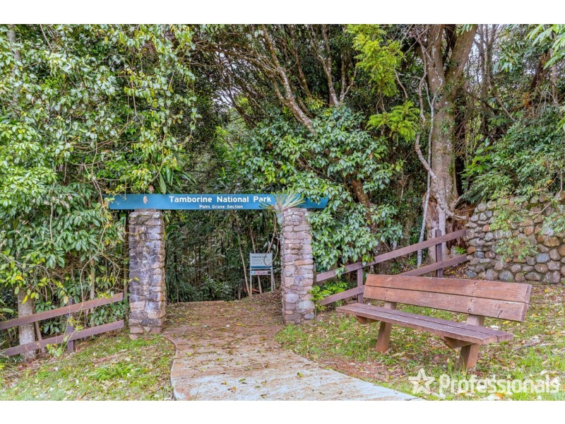 29 Palm Grove, Tamborine Mountain QLD 4272