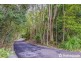 29 Palm Grove, Tamborine Mountain QLD 4272