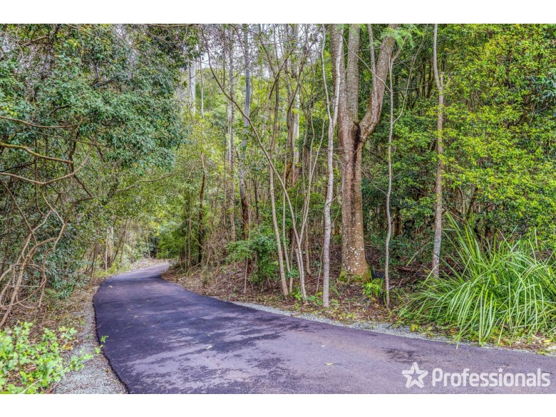29 Palm Grove, Tamborine Mountain QLD 4272