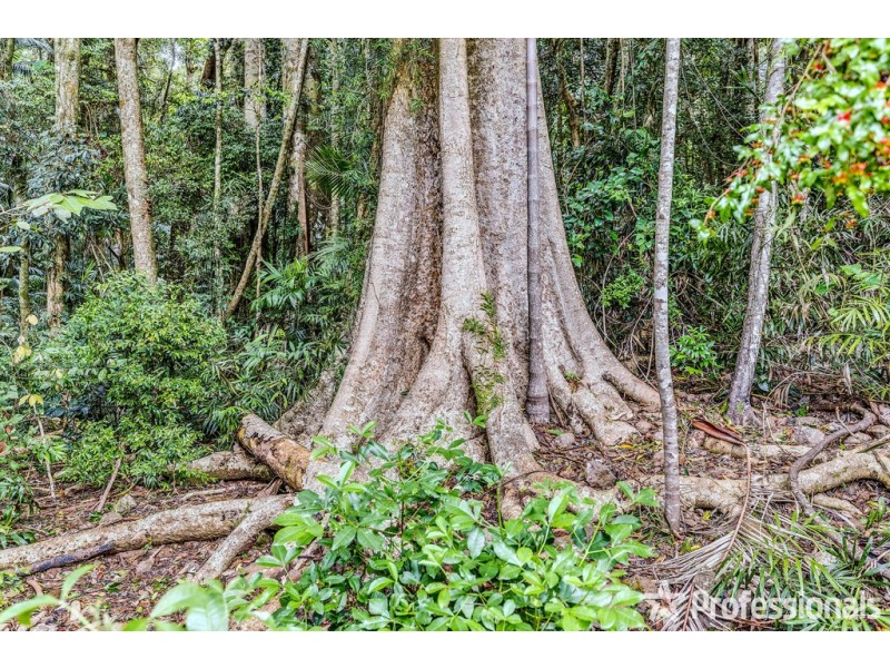 29 Palm Grove, Tamborine Mountain QLD 4272