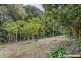 29 Palm Grove, Tamborine Mountain QLD 4272