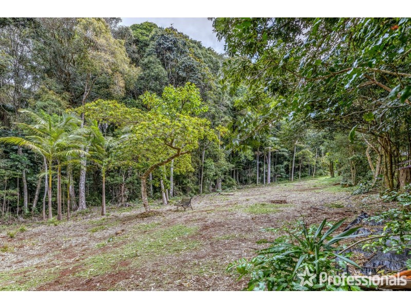 29 Palm Grove, Tamborine Mountain QLD 4272