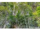 29 Palm Grove, Tamborine Mountain QLD 4272