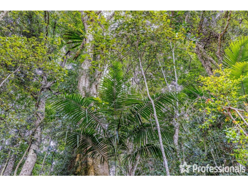 29 Palm Grove, Tamborine Mountain QLD 4272