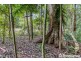 29 Palm Grove, Tamborine Mountain QLD 4272