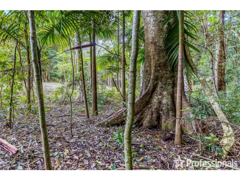 29 Palm Grove, Tamborine Mountain QLD 4272